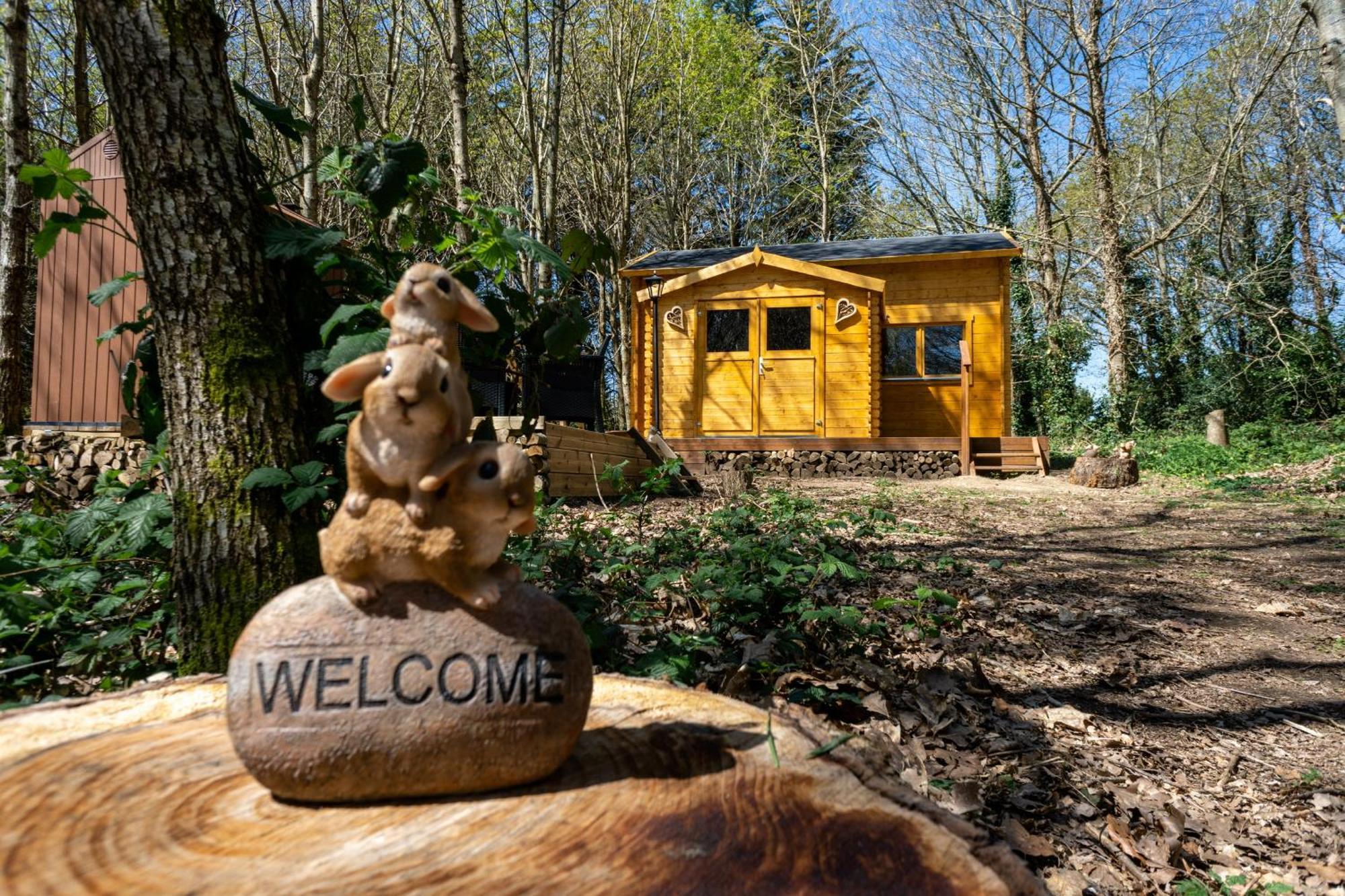 Cabane Insolite Avec Escape Game Saint-Evarzec Exterior photo